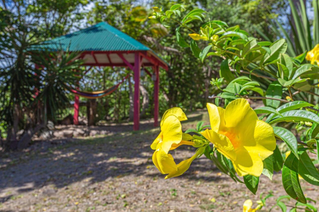 Villas Ti Creole Sainte-Rose Kültér fotó